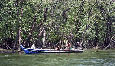 'Fishing Boat in the Mangrove Forests of Ranong' by Asienreisender